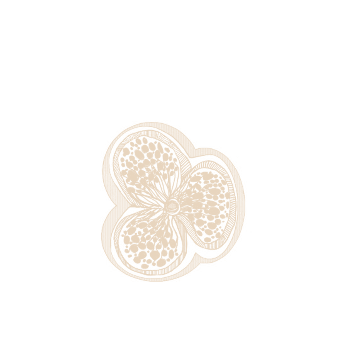 Ana Farren logo