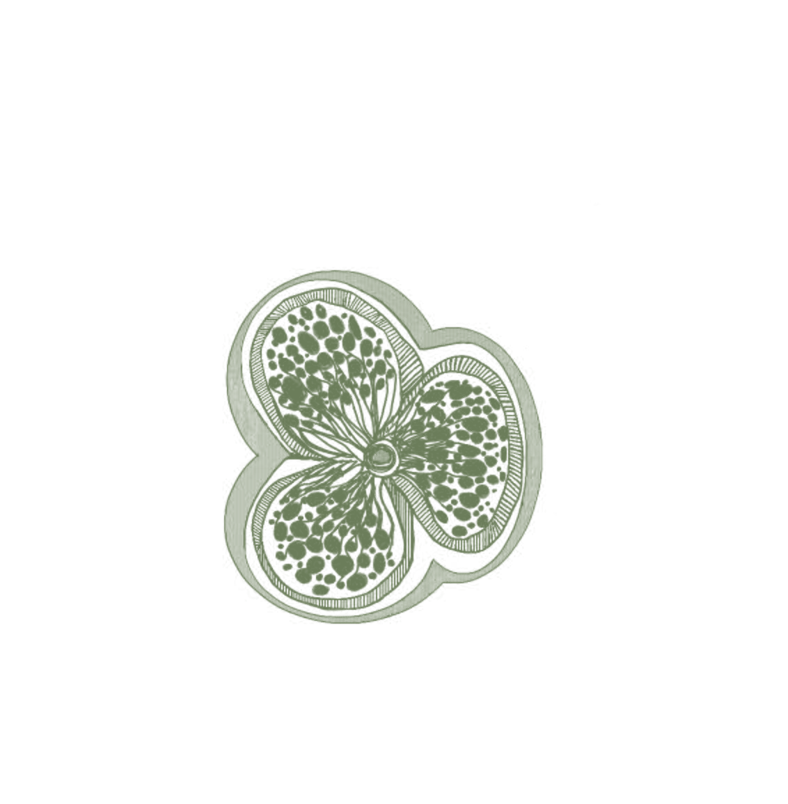 Ana Farren logo