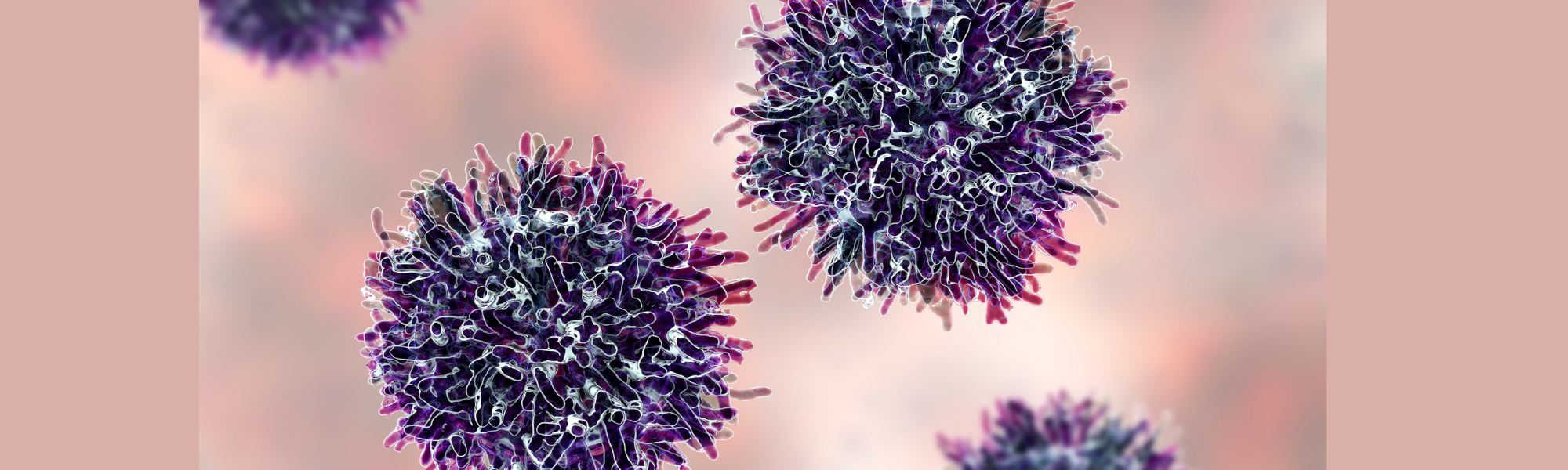 La Terapia Nutricional en el Cáncer