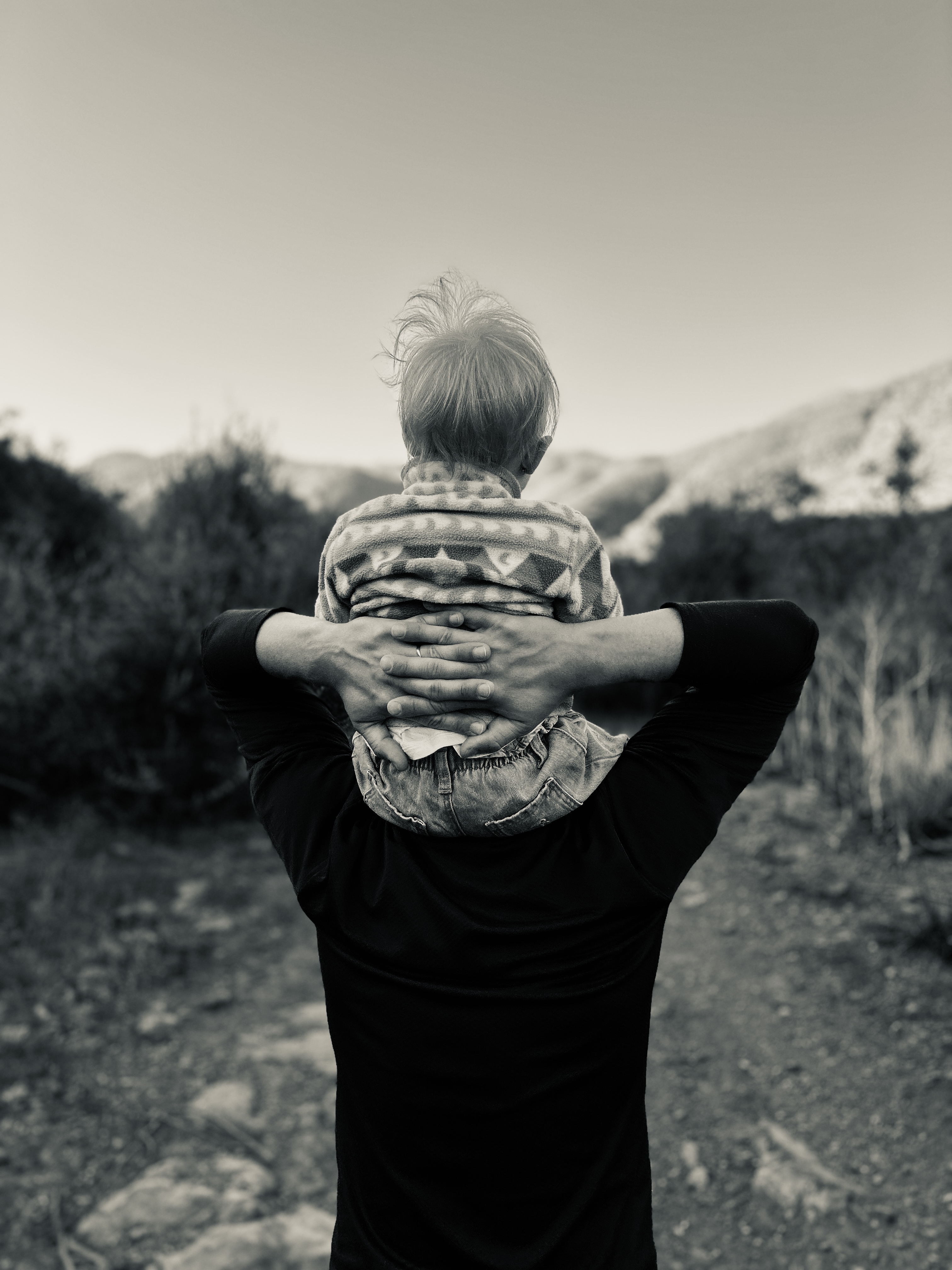 Articulo sobre familia