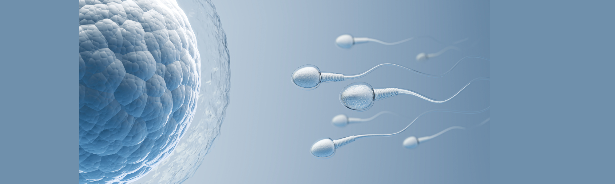 Fertilidad y nutrición